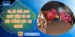 da-ga-cua-dao